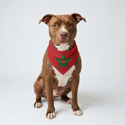 Morocco Red Green Star