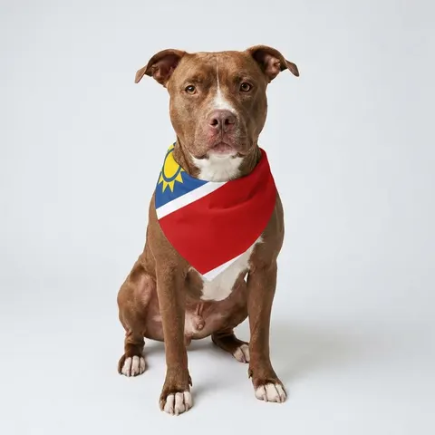 Namibia Diagonal Blue Red Green Pet Bandana