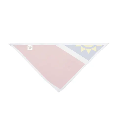 Namibia Diagonal Blue Red Green Pet Bandana — other view