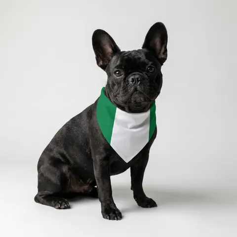 Nigeria Green & White Stripes Pet Bandana