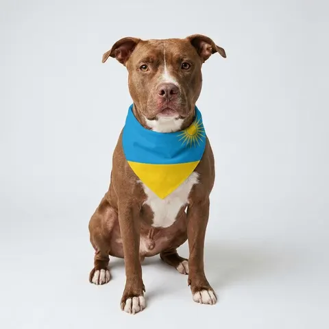 Rwanda Sky Blue & Sun Pet Bandana