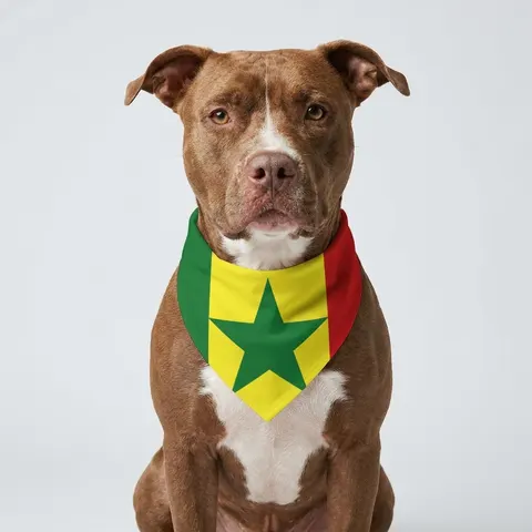 Senegal Green Yellow Red Pet Bandana