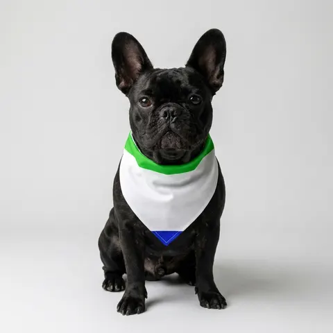 Sierra Leone Green White Blue Pet Bandana