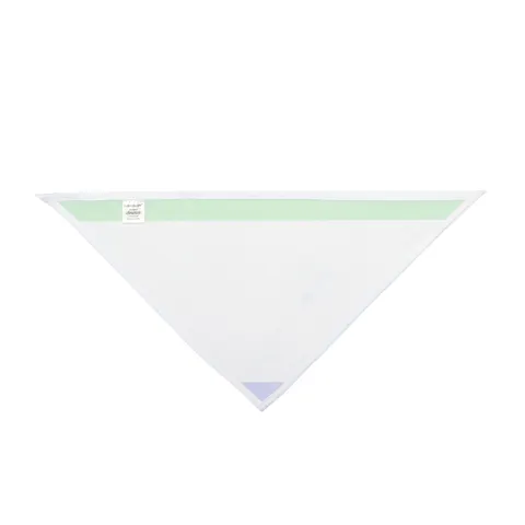 Sierra Leone Green White Blue Pet Bandana — other view
