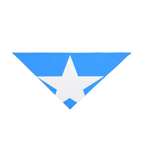 Somalia Blue White Star Pet Bandana — front view