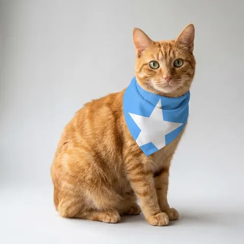Somalia Blue White Star