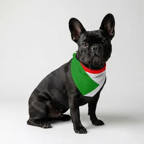 Sudan Red White Black Triangle