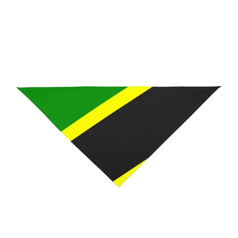 Tanzania Diagonal Bands Pet Bandana — front view