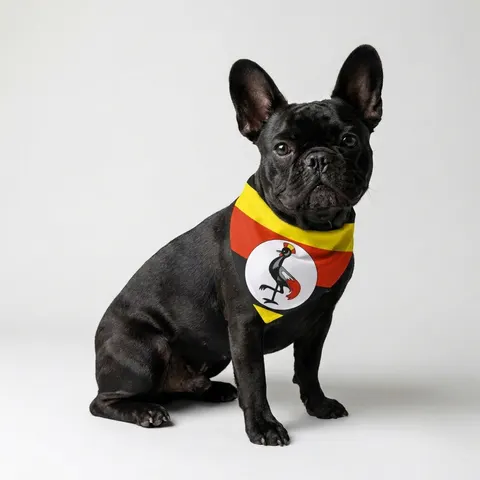 Uganda Black Yellow Red Bands Pet Bandana