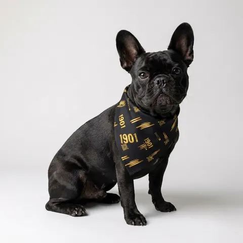 Grambling 1901 Black & Gold Edge Pet Bandana