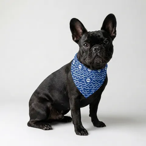 Hampton 1868 Blue & White Wave Pet Bandana — lifestyle view