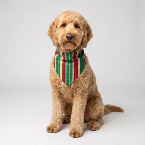 Holiday Gift Wrap Stripes Pet Bandana