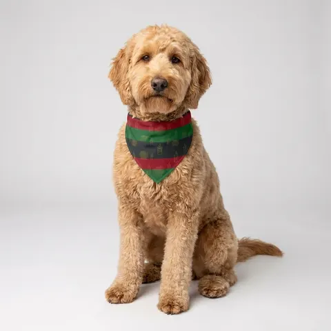 Holiday Kwanzaa Karamu Colors Pet Bandana