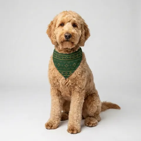 Holiday Green & Gold Knit Pet Bandana