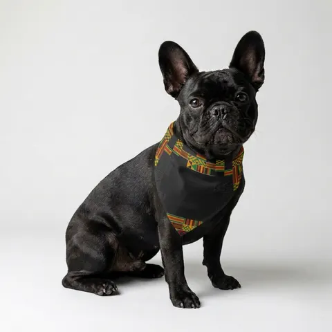 Holiday Kwanzaa Kente Border Pet Bandana