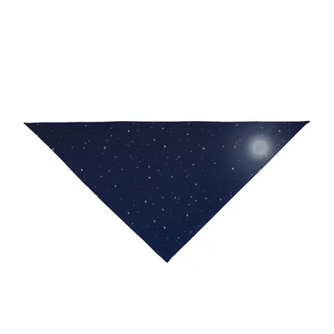 Holiday Starry Winter Night Pet Bandana — front view