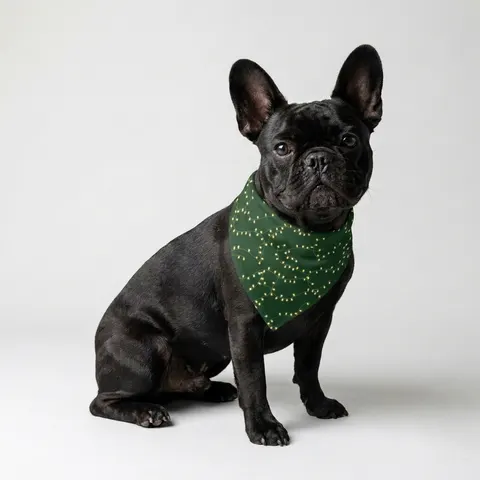 Holiday String Lights on Green Pet Bandana