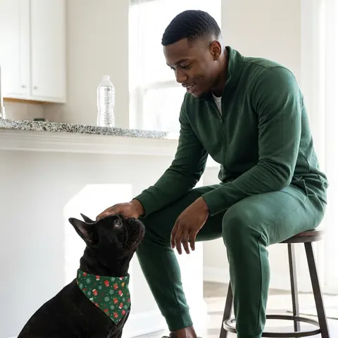 Holiday Ugly Sweater Icons Pet Bandana