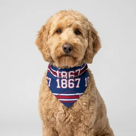 Howard 1867 Navy & Crimson Pet Bandana — lifestyle view