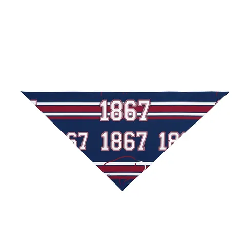 Howard 1867 Navy & Crimson Pet Bandana — front view