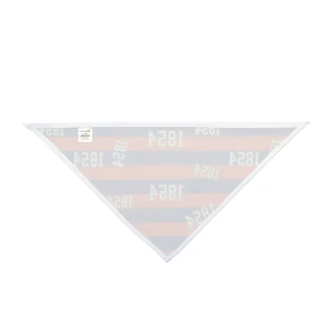 Lincoln (PA) 1854 Blue & Orange Pet Bandana — other view