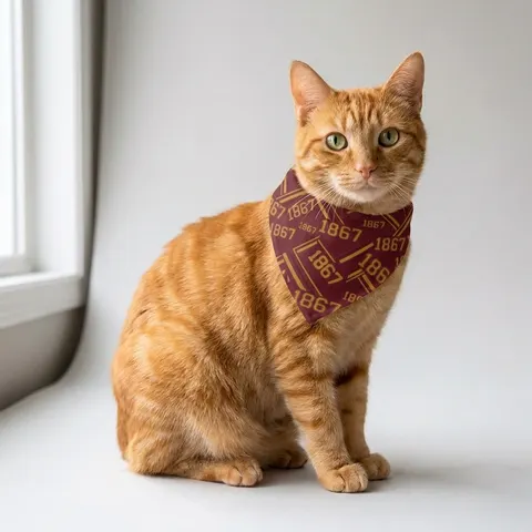 Morehouse 1867 Maroon & Gold Classic Pet Bandana