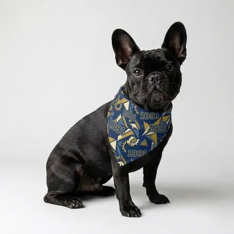NC A&T 1891 Blue & Gold Tech Pattern Pet Bandana