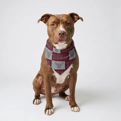 NC Central 1910 Maroon & Grey