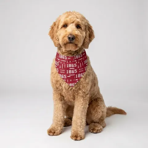 Shaw 1865 Crimson & White