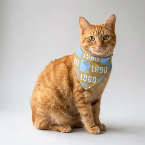 Southern 1880 Blue & Gold Block Pet Bandana