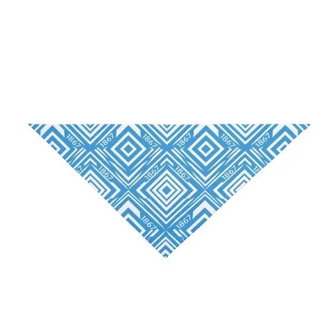 Saint Augustine's 1867 Blue & White Pet Bandana — front view