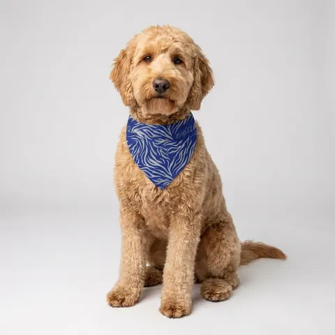 Tennessee State 1912 Royal Pattern Pet Bandana