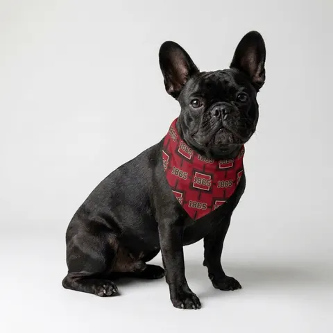 Virginia Union 1865 Crimson & Black Pet Bandana