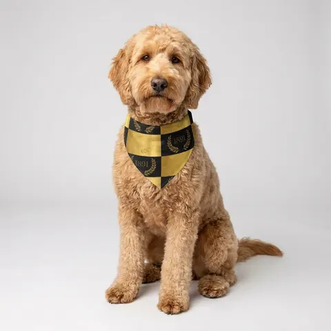 West Virginia State 1891 Black & Gold