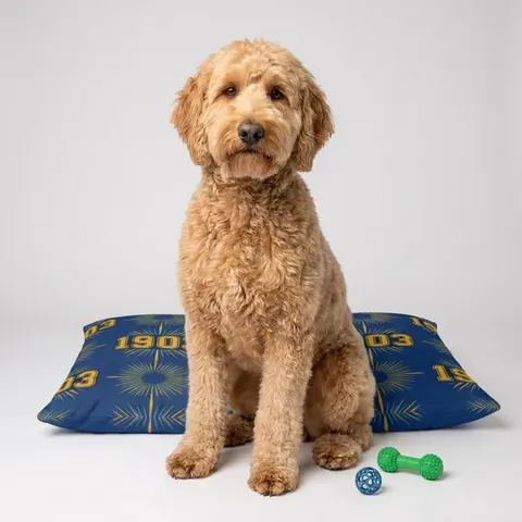 Albany State 1903 Blue & Gold Sunburst Pet Bed