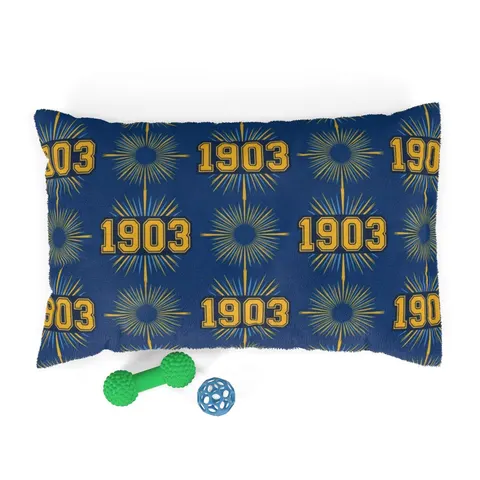 Albany State 1903 Blue & Gold Sunburst Pet Bed — front view