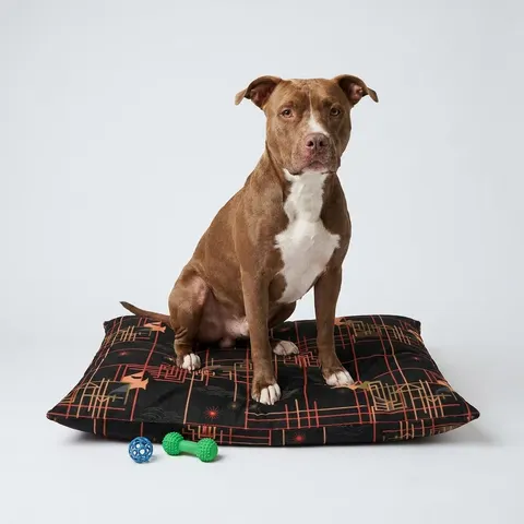 Atlanta Zone 6 Neon Pet Bed