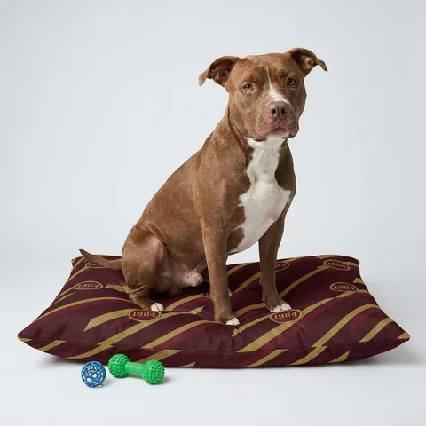 Bethune-Cookman 1904 Maroon & Gold Pet Bed
