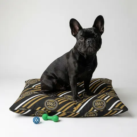 Bowie State 1865 Black & Gold Panel Pet Bed