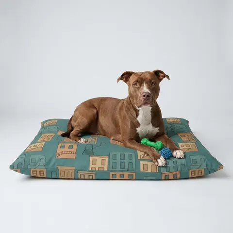 Baltimore Rowhouse Stoops Pet Bed