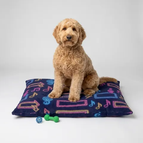 Detroit Motown Neon Pet Bed