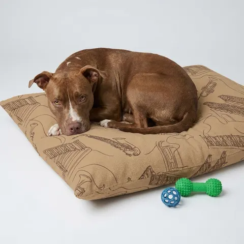 Harlem Brownstone Jazz Lines Pet Bed