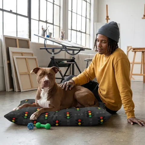 Houston Fifth Ward Signals Pet Bed