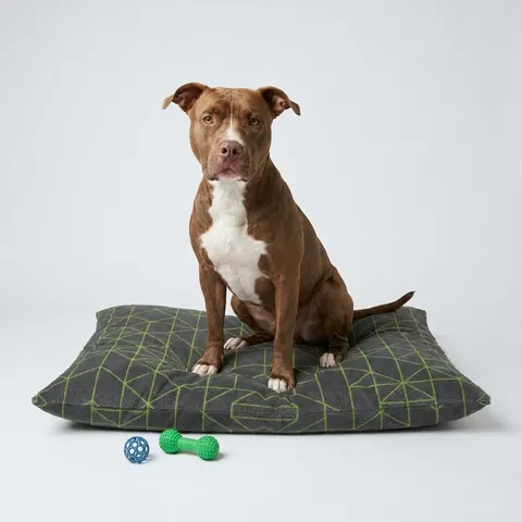 Oakland The Town Grid Pet Bed