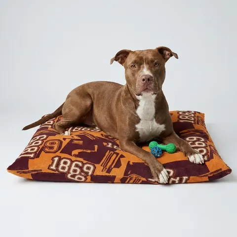 Claflin 1869 Orange & Maroon