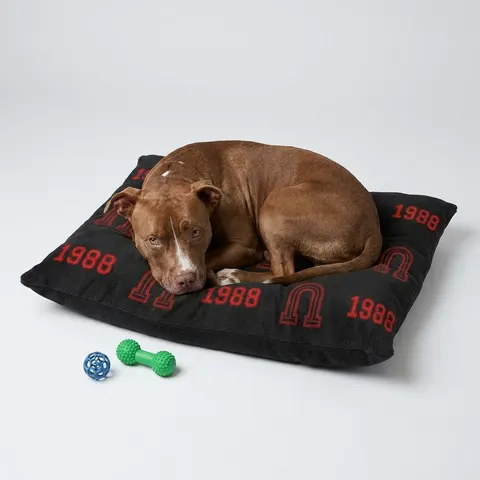 Clark Atlanta 1988 Black & Red Arch Pet Bed