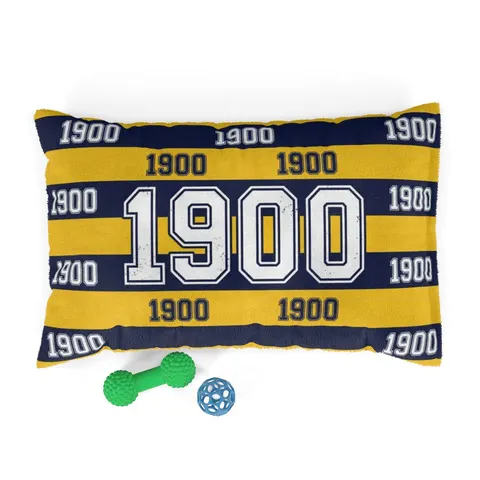 Coppin State 1900 Blue & Yellow Pet Bed — front view
