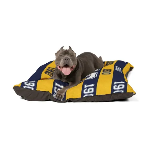 Coppin State 1900 Blue & Yellow Pet Bed — other view