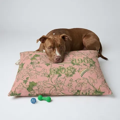 AKA 1908 Pink & Green Ivy Pattern Pet Bed