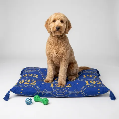SGRho 1922 Royal Blue & Gold Pet Bed